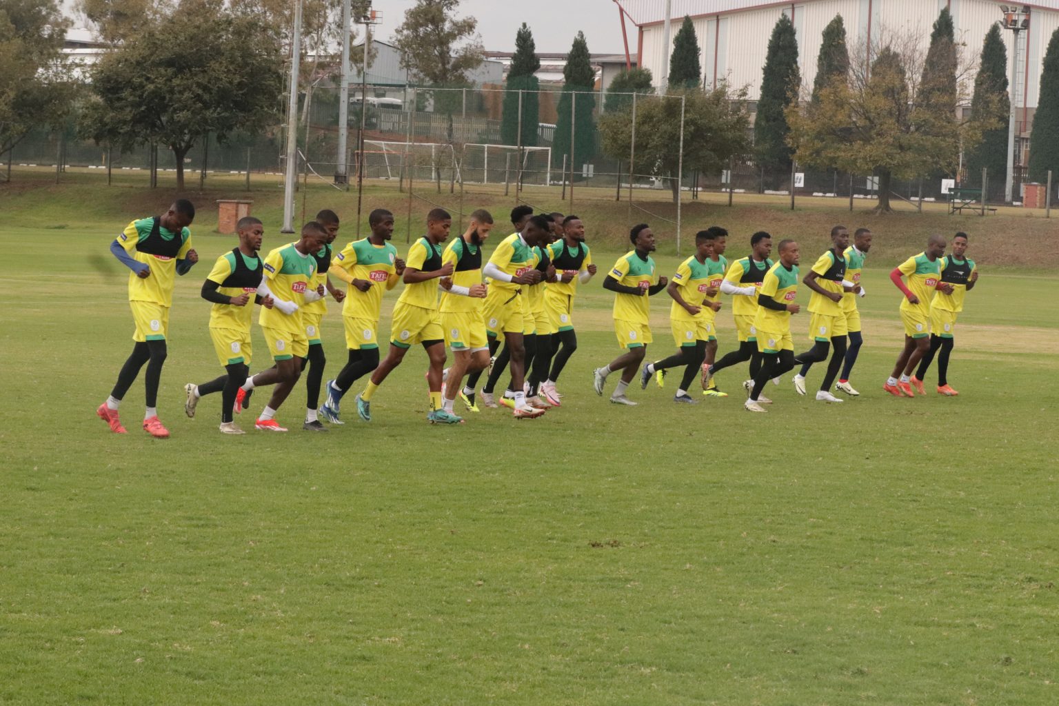 Warriors’ road to World Cup